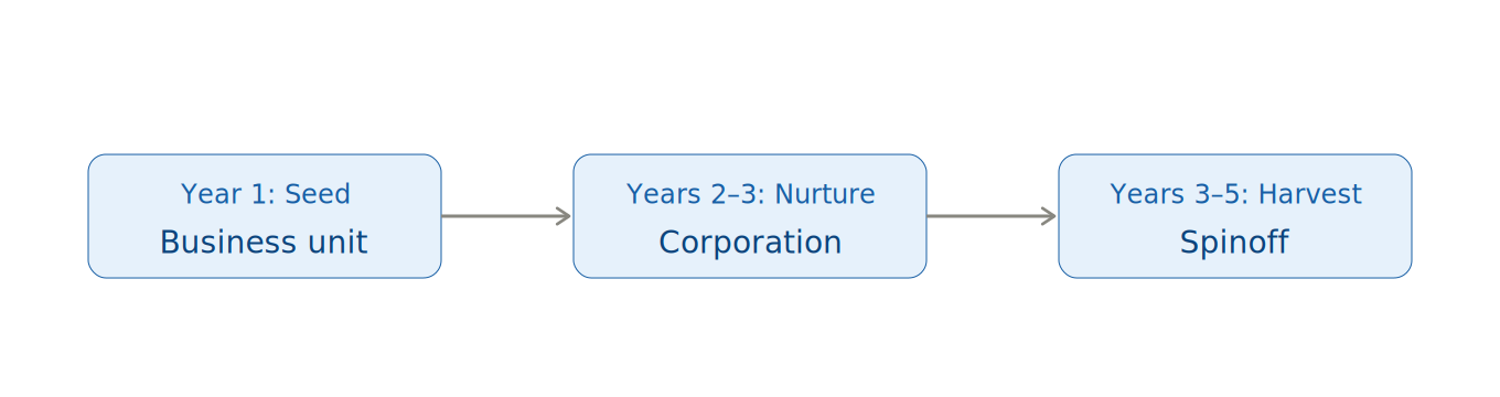 Systematic Venture Creation